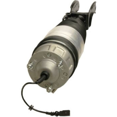 Luftfederbein 11-0793