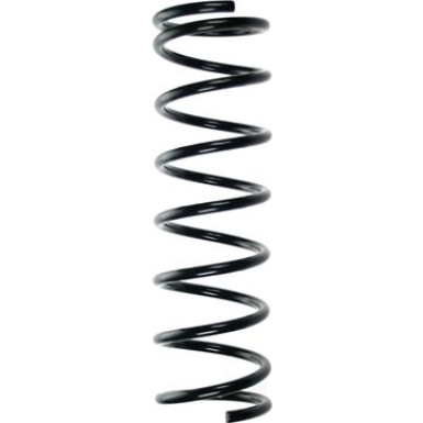 SPIDAN Fahrwerksfeder 49212