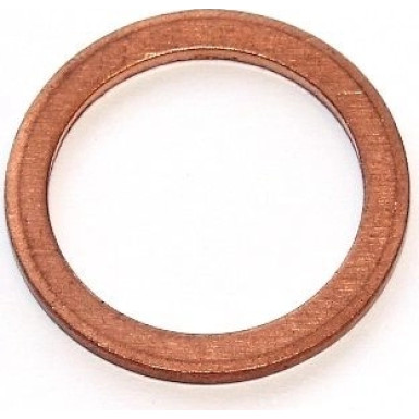 Dichtring SONSTIGE 118.001