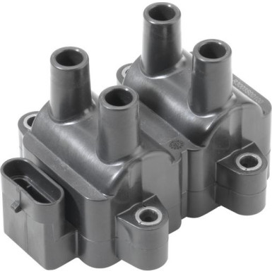 Zündspule DACIA,RENAULT 0 986 221 060 Zündspule DACIA,RENAULT 0 986 221 060