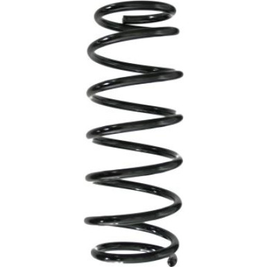 SPIDAN Fahrwerksfeder 49530