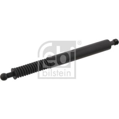 Gasfeder, Koffer-/Laderaum 32046