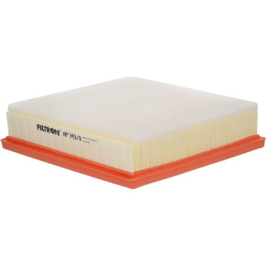 FILTRON Luftfilter AP 143/9