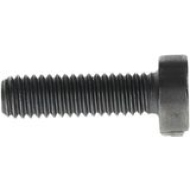 Torx-Zylinderschraube F 00N 202 191 Torx-Zylinderschraube F 00N 202 191