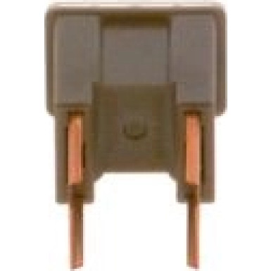 Sicherung 1987529072 Sicherung 1987529072