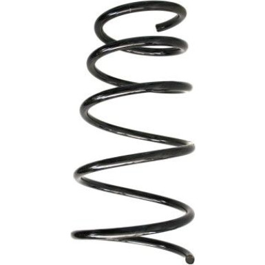 SPIDAN Fahrwerksfeder 49602