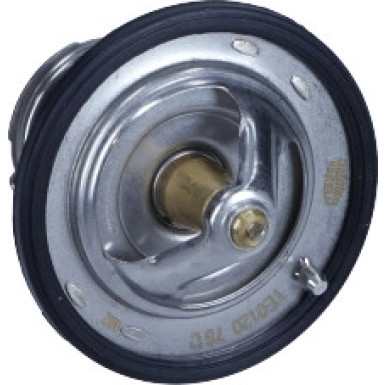 Thermostat, Kühlmittel 352317101200