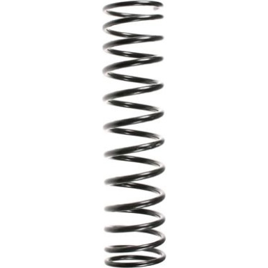 SPIDAN Fahrwerksfeder 48160