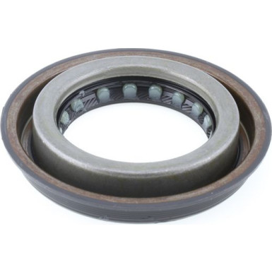 Wellendichtring, Differential 49358740 Wellendichtring, Differential 49358740