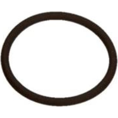 O-Ring Diverse 1460210349