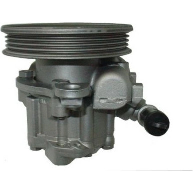 SPIDAN Hydraulikpumpe 53558 SPIDAN Hydraulikpumpe 53558