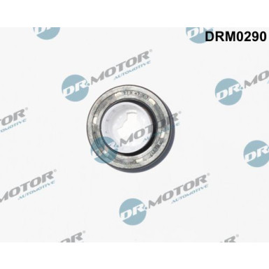 Wellendichtring, Kurbelwelle Citroen Berlingo 1.6Hdi 08 DRM0290 Wellendichtring, Kurbelwelle Citroen Berlingo 1.6Hdi 08 DRM0290