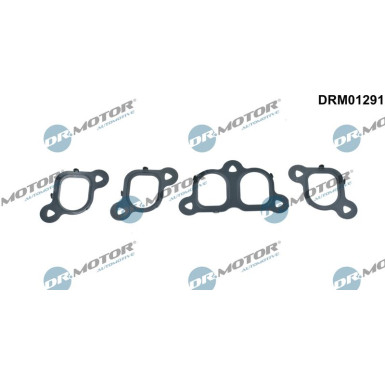 DR.MOTOR Dichtungssatz, Ansaugkrümmer DRM01291