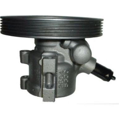SPIDAN Hydraulikpumpe 53661 SPIDAN Hydraulikpumpe 53661