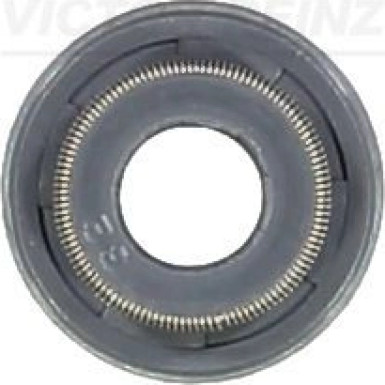 REINZ Versiegelung 70-53678-00