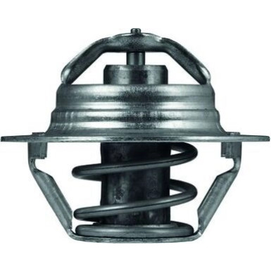 Thermostateinsatz mit Dichtung TX 100 89D