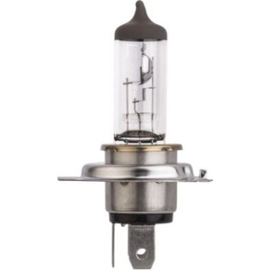 HELLA Glühlampe, Hauptscheinwerfer 8GJ 329 393-043 HELLA Glühlampe, Hauptscheinwerfer 8GJ 329 393-043