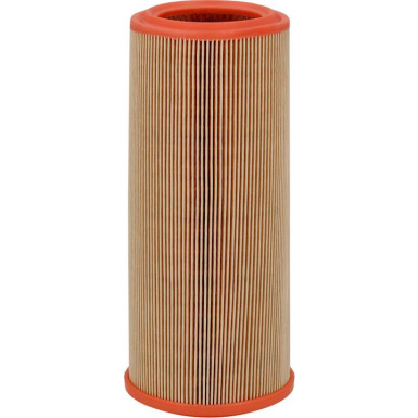 FILTRON Luftfilter AR 234/3
