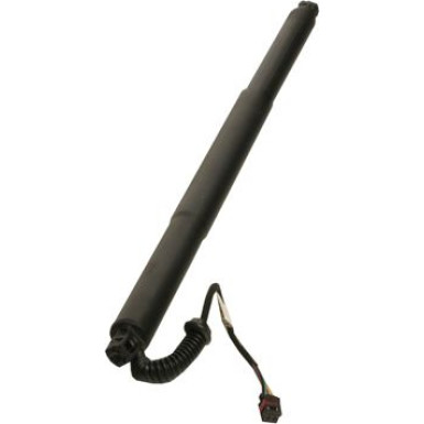 Gasfeder, Einlegeboden (Koffer-/Laderaum) 241397