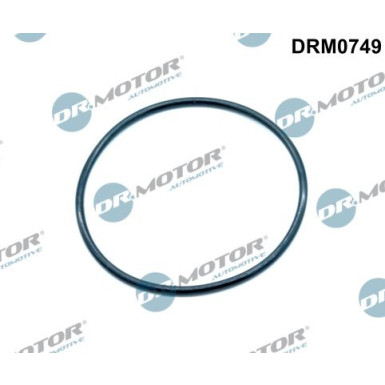 DR.MOTOR Dichtung, Ansaugkrümmer DRM0749 DR.MOTOR Dichtung, Ansaugkrümmer DRM0749