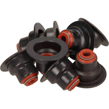 Dichtungssatz Ventilschaft RENAULT Clio,Kangoo 12-33447-01