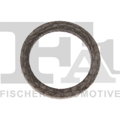 Dichtung, Turbineneinlass (Lader) 455-531