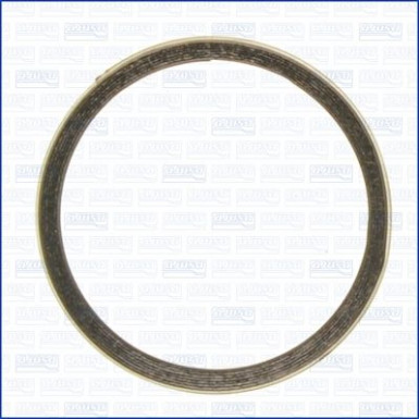 Dichtring, Abgasrohr 19005500