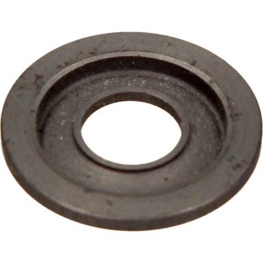 Dichtring 2430501011 Dichtring 2430501011