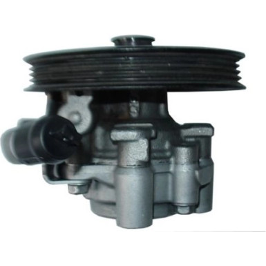 SPIDAN Hydraulikpumpe 54365 SPIDAN Hydraulikpumpe 54365
