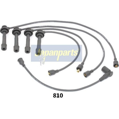 Zündleitungssatz IC-810