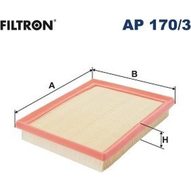 FILTRON Luftfilter AP 170/3