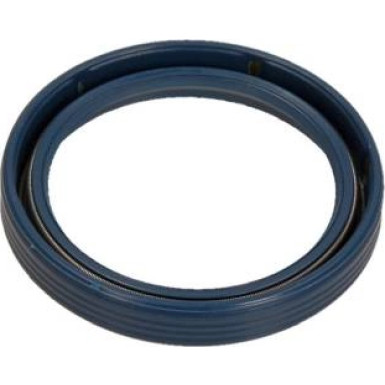 Dichtring 12010903B