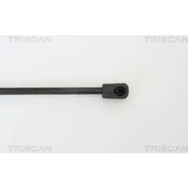 Gasfeder, Motorhaube 871029120