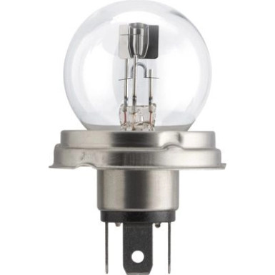 R2 24V.55/50W.P45t-41 Lampe 13620C1