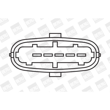 BorgWarner (BERU) Zündspule ZS358