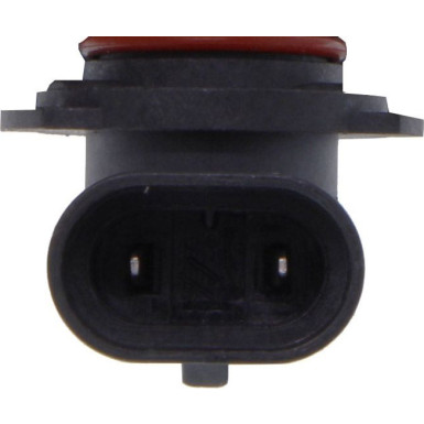 Glühlampe Hir2 12V/55W 9012 Px22D 78-0149