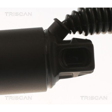 Gasfeder, Koffer-/Laderaum 871029312