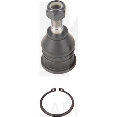 Gelenk - Radaufhängung Nissan P. Sunny 86-91 Le/Pr 5042228
