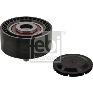 Umlenk-/Führungsrolle, Keilrippenriemen 100252