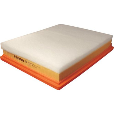 FILTRON Luftfilter AP 137/5