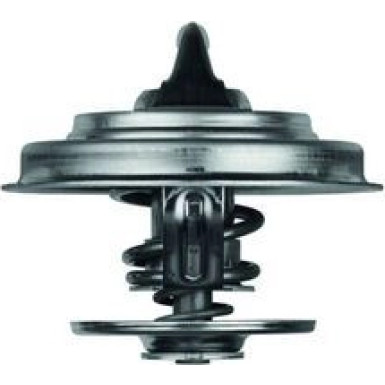 Thermostateinsatz mit Dichtung MERCEDES /8 ,PEUGEOT BEHR TX 18 79D