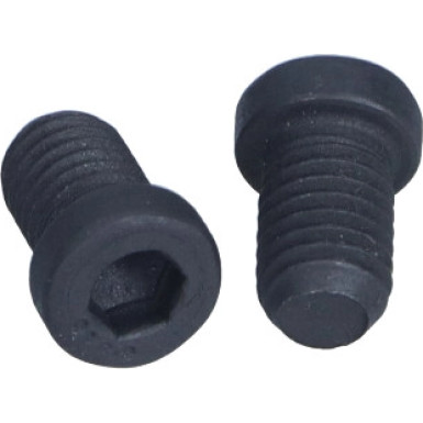 Schraube, Bremsscheibe TPM0009