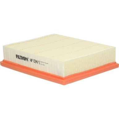 FILTRON Luftfilter AP 034/1