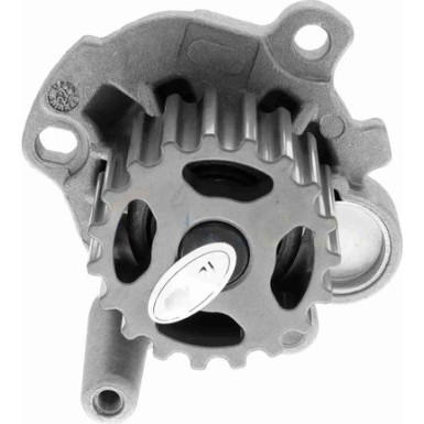 VAICO Wasserpumpe V10-50052
