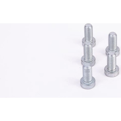 Torx-Zylinderschraube Diverse F 01M 100 684