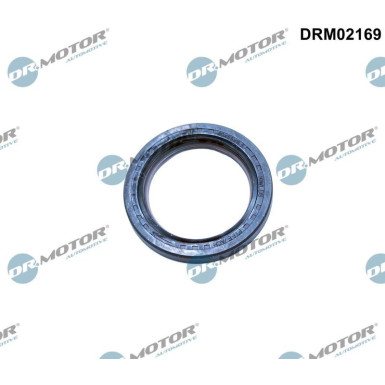 WELLENDICHTRING, KURBELWELLE DRM02169