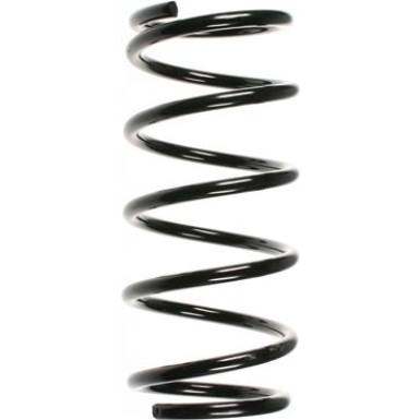 SPIDAN Fahrwerksfeder 55202