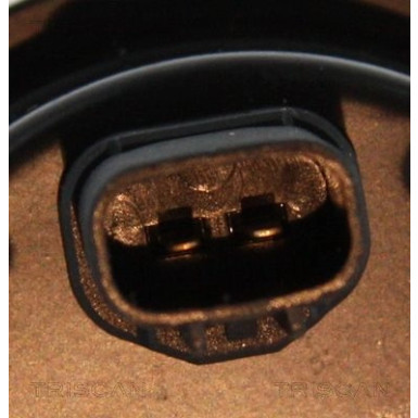 Sensor, Raddrehzahl 818013201