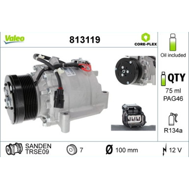 KOMPRESSOR, KLIMAANLAGE VAL813119 KOMPRESSOR, KLIMAANLAGE VAL813119