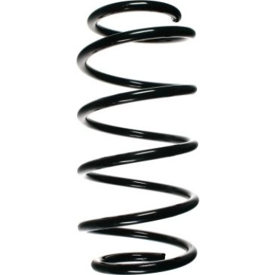 SPIDAN Fahrwerksfeder 48520